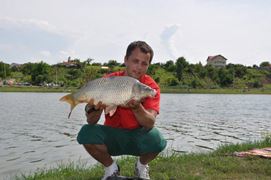 Partide 2010 - 2012